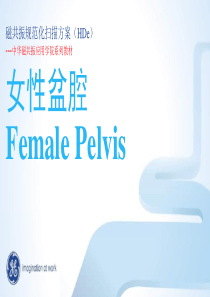 GE_1.xlsxT_MR_女性盆腔规范化扫描方案