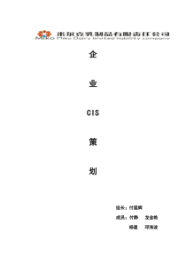 CIS企业形象策划teamspirits