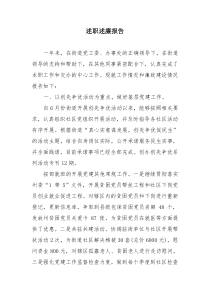 10述职述廉报告