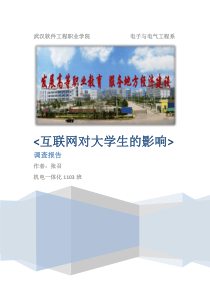 大学生社会调查结题报告