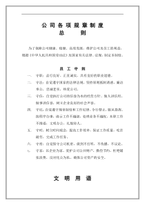 公司各项规章制度