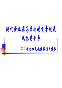 XX的企业文化建设项目建议