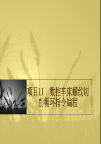 数控车床螺纹切削循环指令编程