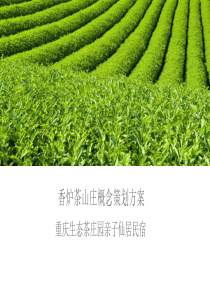 香炉茶山庄策划案