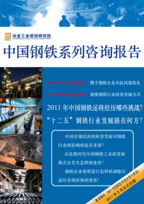 XXXX中国钢铁系列咨询报告