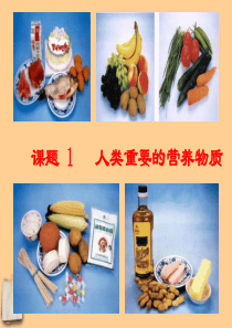 课题1  人类重要的营养物质课件