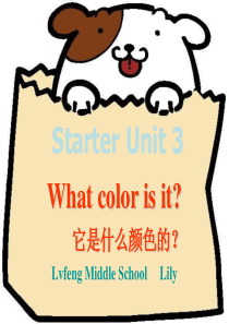 七年级英语What color is it课件