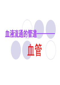 七年级下册生物血管