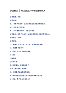 幼儿园五大领域公开课教案
