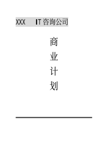 XXXIT咨询公司商业计划书（PDF 80页）
