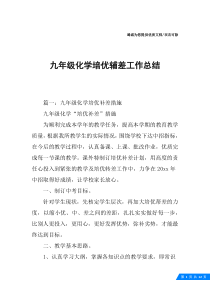 九年级化学培优辅差工作总结