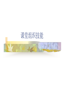 课堂组织技能