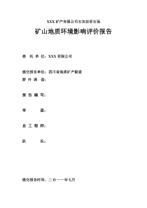 环境评估报告