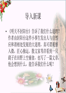 大地上的事情ppt优秀课件-北师大版