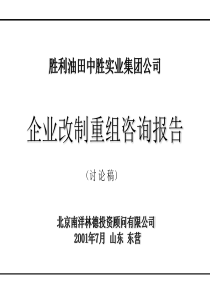 企业改制重组咨询报告(1)