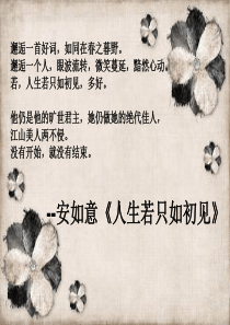 人生若只如初见演讲稿