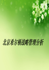 希尔顿酒店战略分析