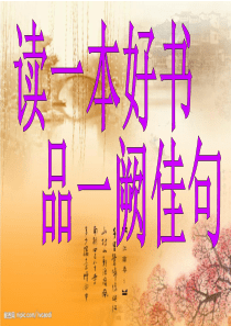 读书汇报会课件