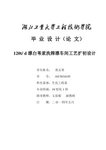 芦苇浆造纸洗筛漂车间工艺扩初设计论文