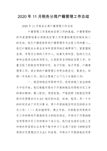 2020年11月税务分局户籍管理工作总结