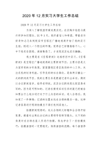 2020年12月实习大学生工作总结