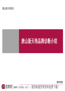 XX天地品牌诊断小结（PPT80页）