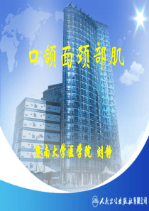 7.口颌面颈部肌-第3-5节咀嚼肌、颈部肌、口颌系统肌链