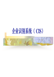 企业识别系统( CIS)