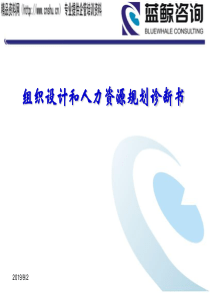 XX轻工装备公司组织设计和人力资源规划诊断报告(PPT70页)(1)