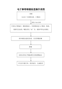 电子鼻咽喉镜操作流程