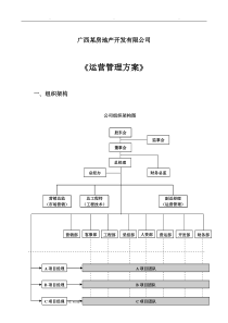 运营管理方案(新)