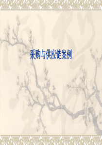 采购与供应链案例