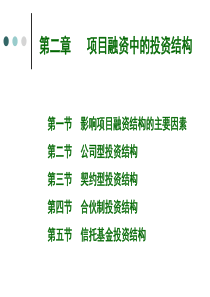第二章项目投资结构