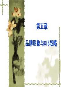 品牌形象与CIS战略