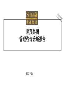 世茂集团管理咨询诊断报告