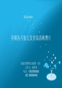 孕期各月胎儿发育高清晰图片