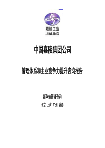 中国嘉陵管理体系和主业竞争力提升咨询报告
