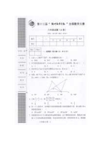 2017年第十三届“枫叶新希望杯”全国八年级数学大赛预赛试题(扫描版-含答案)