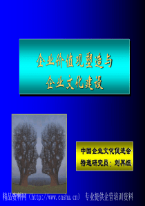 企业价值观塑造与企业文化建设