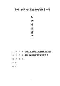 中天咨询报告(最终版)