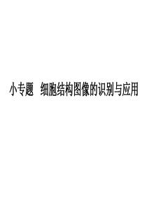 高中生物——细胞结构功能图