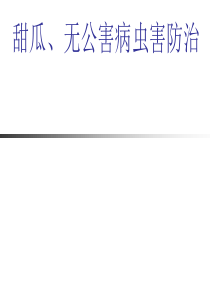 甜瓜病害 防治