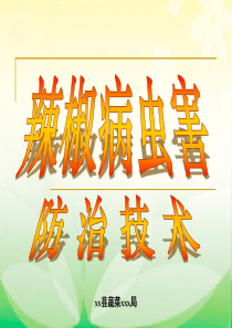 辣椒病虫害防治技术范