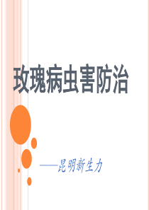 玫瑰病虫害防治
