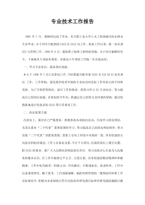 专业技术工作报告