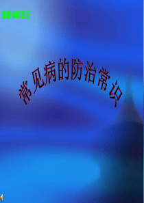 常见病防治常识