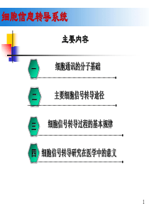 细胞信号转导系统