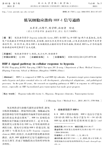 低氧细胞应激的HIF-1信号通路