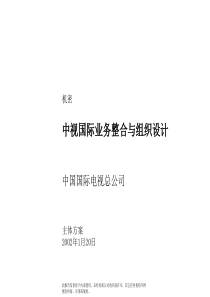 中视国际管理咨询报告——主体报告（最终稿）