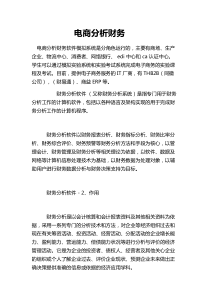 电商分析财务
